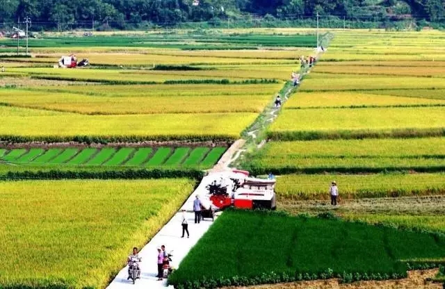 图片.webp.jpg 图片.webp.jpg